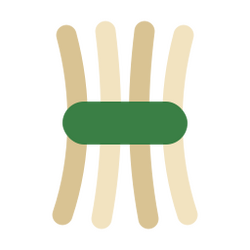 Icon-plains-fiber.png