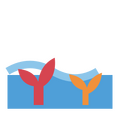 Thumbnail for version as of 22:55, 26 July 2026