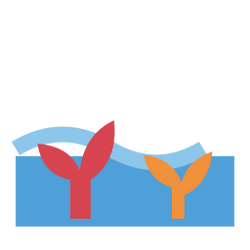 Icon-coral-shallows.png