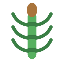 Icon-horsetail-reed.png